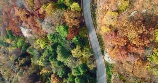 มุมมองด้านบนทางอากาศเหนือถนนในป่าฤดูใบไม้ร่วงชนบทที่มีสีสัน ทั้งสีส้ม, สีเขียว, สีเหลือง, สีแดงต้นไม้ป่า.ภูเขาสร้างเส้นทางถนน.4k โดรนบินลงตรงการจัดตั้งยิง — วีดีโอสต็อก