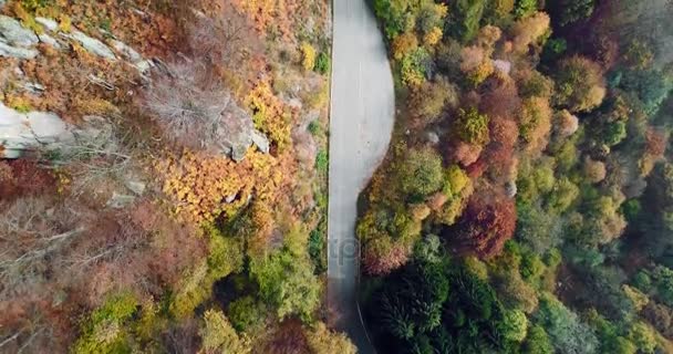 มุมมองด้านบนทางอากาศเหนือถนนในป่าฤดูใบไม้ร่วงชนบทที่มีสีสัน ทั้งสีส้ม, สีเขียว, สีเหลือง, สีแดงต้นไม้ป่า.ภูเขาสร้างเส้นทางถนน.4k โดรนบินลงตรงการจัดตั้งยิง — วีดีโอสต็อก