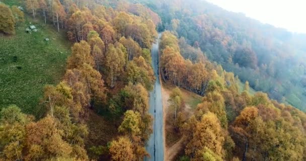 カラフルな田舎の秋の森の道を下位の空中の平面図です。オレンジ、緑、黄色の赤い木の森に落ちる。山通りパス establisher.4k 無人飛行ストレート ダウン ショットを確立します。 — ストック動画