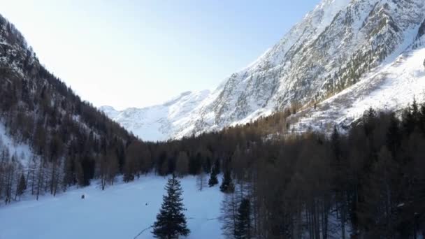 Estabelecedor de drones aéreos de inverno sobre florestas nevadas vale sob montanhas geladas.Neve na natureza da montanha ao ar livre.Voo para a frente. Viajar explorando Alpes. 4k vídeo vista superior — Vídeo de Stock