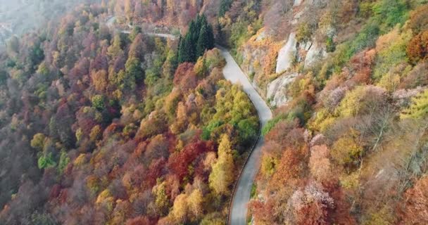 カラフルな田舎の秋の森では、道路上のオーバーヘッド空中平面図です。オレンジ、緑、黄色の赤い木の森に落ちる。山通りパス establisher.4k 無人飛行ストレート ダウン ショットを確立します。 — ストック動画