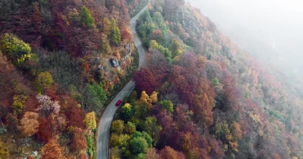 カラフルな秋の森では、道路の旅行の車の上航空トップ ビューを転送します。オレンジ、緑、黄色の赤い木の森に落ちる。エスタブリッシング ・ ショット山通りパス establisher.4k 無人飛行 — ストック動画