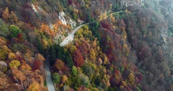 Forward aerial top view over motorbike travelling on road in colorful autumn forest.Fall orange,green,yellow red tree woods.Mountain fog street path establisher.4k drone flight  establishing shot — Wideo stockowe