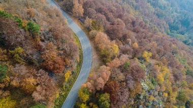 Eğri yol bend renkli kırsal sonbahar ormandaki üzerinde ek yükü hava üstten görünüm. Sonbahar turuncu, yeşil, sarı, kırmızı ağaç ve güneş. Dağ sokak yol arka plan açın. Düz aşağı bakış açısı üzerinde
