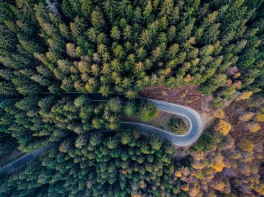 Saç tokası üzerinde ek yükü hava üstten görünüm yol bend kırsal sonbahar çam ormanı içinde açın. Turuncu, yeşil, sarı, kırmızı ağaç düşmek. Dağ eğri sokak yol arka plan. Düz aşağı bakış açısı üzerinde