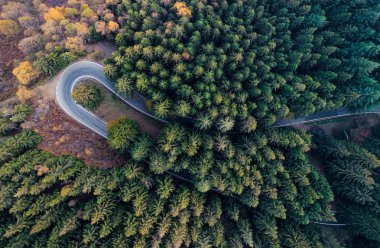 Saç tokası üzerinde ek yükü hava üstten görünüm yol bend kırsal sonbahar çam ormanı içinde açın. Turuncu, yeşil, sarı, kırmızı ağaç düşmek. Dağ eğri sokak yol arka plan. Düz aşağı bakış açısı üzerinde
