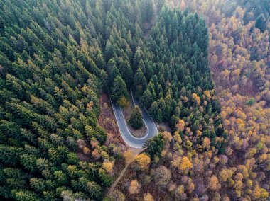 Saç tokası üzerinde ek yükü hava üstten görünüm yol bend kırsal sonbahar çam ormanı içinde açın. Turuncu, yeşil, sarı, kırmızı ağaç düşmek. Dağ eğri sokak yol arka plan. Düz aşağı bakış açısı üzerinde