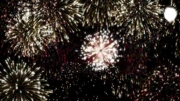 Bunte Schleife animiertes Feuerwerk auf schwarzem Hintergrund. Feier Schleife Animation für festliche Ereignisse wie Weihnachten, Neujahr, Unabhängigkeit day.gold, rot bunte Explosion loopable 4k soziale Postkarte — Stockvideo