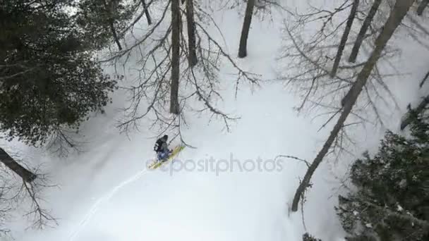 Встановлювач повітряного дрона над лижником катається на лижах у засніжених лісах. Зима сніг у гірській природі на відкритому повітрі. пряма вниз перспектива.4k вид зверху відео — стокове відео