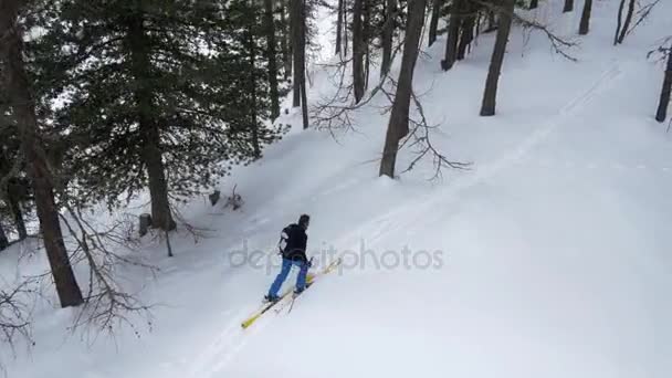 Napowietrznych antenowe drone klaczy lotu nad człowiekiem narciarz narty w snowy Las. Zima snow w góry na zewnątrz natura. Ski alpinizm aktywności. perspective.4k prosto w dół wideo widok z góry — Wideo stockowe