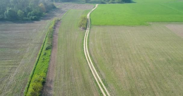 Mozog hátra, zöld mezők és kavics utak a nyári napon. Olaszország Európa kültéri zöld természet tájkép légi establisher.4k drone repülés létrehozó lövés — Stock videók