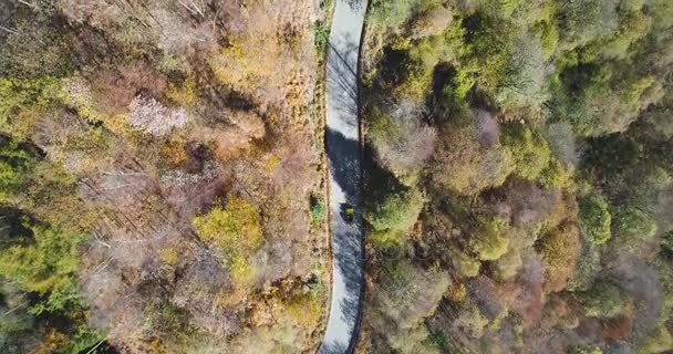 Overhead aerial top view over yellow vintage car travelling on road in colorful autumn forest.Fall orange,green tree woods.Mountains street establisher.4k drone flight straight-down establishing shot — Stock Video