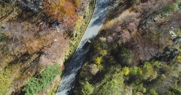 Rezsi felső légifelvételek sárga vintage autó road, színes őszi erdőben utazik át. Őszi narancssárga, zöld fa erdőben. Hegyek utcai establisher.4k drone repülés egyenesen lefelé létrehozó lövés — Stock videók