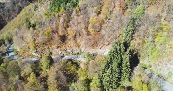 カラフルな秋の森の道で旅行黄色ヴィンテージ車側空中平面図です。オレンジ、緑、黄色の赤い木の森に落ちる。エスタブリッシング ・ ショット山通りパス establisher.4k 無人飛行 — ストック動画