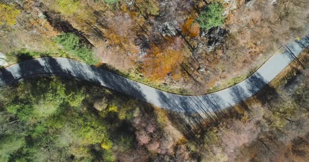 カラフルな秋の森の道で旅行黄色ヴィンテージ車の上オーバーヘッド空中の平面図です。秋はオレンジ色、緑の木の森。山通り establisher.4k 無人飛行ストレート ダウン ショットを確立します。 — ストック動画