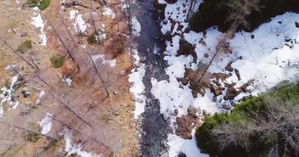 Vzdušný let nad hlavou nad river creek v žlutých hor a lesů spadají zřizovatel. Venkovní sníh divoké přírody stvol v pohledu shora dron na podzim nebo winter.4k, rovný down pohledu založení shot — Stock video