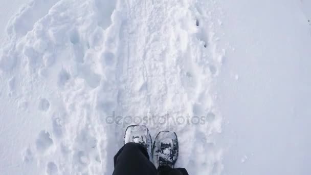 Overhead homem POV caminhadas e caminhadas com sapatos de neve ao ar livre no caminho branco nevado no campo selvagem montanha no inverno. Detalhe de pernas e sapatos passos na neve.Ponto de vista 4k vídeo — Vídeo de Stock