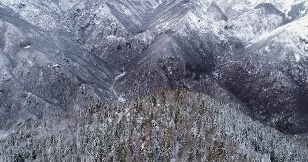 Передня повітряна система над альпійською гірською долиною соснові ліси вкриті снігом в похмуру зиму. — стокове відео