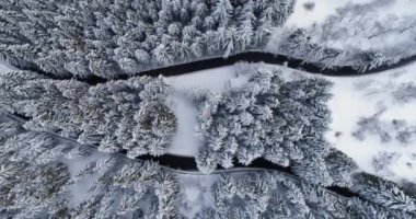 Şu saç tokası viraj üzerinde seyahat arabayı ek yükü hava üstten görünüm Dağı kış karla kaplı ormanda yol açın. Beyaz çam ağacı orman. Karlı sokak yol establisher.4k drone uçuş düz aşağı