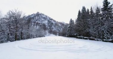 Hava bulutlu kışın çam ormanı woods yakınındaki Alp dağ karla kaplı alanın üzerinde ileriye doğru. Avrupa Alpleri açık doğa scape karlı dağlarda vahşi establisher.4k drone uçuş atış kurulması