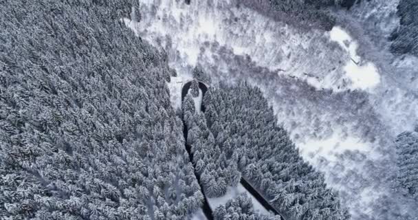 Dopředné letecký pohled shora nad serpentiny zase silnici v lese zimní zasněžené hory. Bílý strom borů. Zasněžené ulice cestu establisher.4k hukot letu rovnou dolů založení
