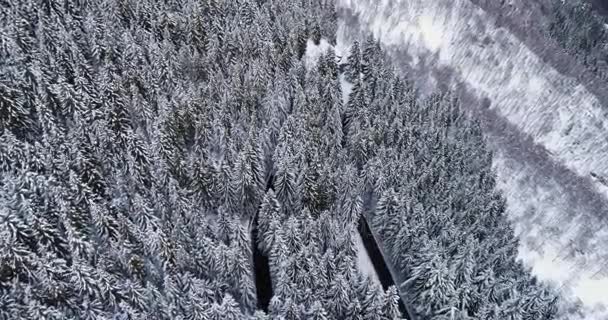 Visão superior aérea para a frente sobre a curva do grampo de cabelo vire a estrada na neve da montanha coberto floresta de inverno.White árvore do pinheiro woods.Snowy rua caminho establishment. — Vídeo de Stock