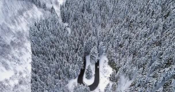 Vista superior aérea hacia adelante sobre el coche que viaja en curva horquilla gire la carretera en el bosque cubierto de nieve de invierno de montaña.Bosques de pinos blancos. — Vídeos de Stock