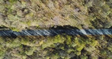 Renkli sonbahar orman yolu üzerinde seyahat sarı eski model araba üzerinde ek yükü hava üstten görünüm. Turuncu, yeşil ağaç düşmek. Dağlar sokak establisher.4k drone uçuş düz aşağı atış kurulması