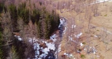 Hava uçan nehir Creek sarı dağ Vadisi ve orman ormanda ilerlemeye ILDIZ düşmek. Açık kar vahşi doğa scape atış kurulması sonbahar veya winter.4k drone uçuş