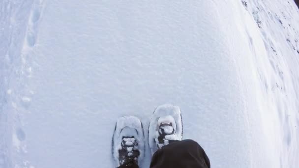 Overhead Pov man wandelen en wandelen met sneeuwschoenen buiten op wit besneeuwde pad in berg wilde velden in de winter. Detail van de benen en de schoenen stappen op sneeuw. Oogpunt 4k video — Stockvideo