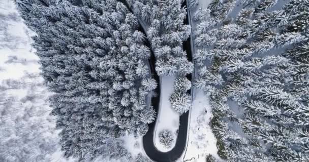 オーバーヘッド空中のヘアピン曲げ眺めは、山の雪に覆われた冬の森の道路をオンにします。ホワイト パインの木の森。雪に覆われた通りパス establisher.4k 無人飛行ストレート ダウン確立 — ストック動画
