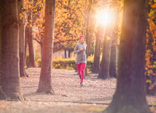 Giovane bella donna caucasica allenamento di jogging allenamento. Autunno corsa fitness ragazza in ambiente parco urbano della città con alberi autunnali arancio. Tramonto o alba luce calda. Attività sportiva nella stagione fredda — Foto Stock