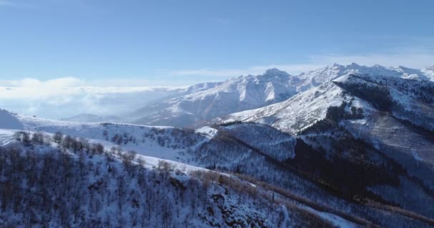 明らかに谷冬に白い雪の山頂に前方の空中。フォレスト森の中。バックライト太陽と雪山開設。エスタブリッシング ・ ショット イタリアン Alps.4k ドローン フライト — ストック動画