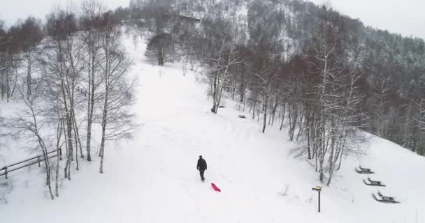 空中跟随人父亲拉扯红色雪橇在下雪上升在冬天。爸爸把雪橇在雪地上。全家人在一起享受乐趣, 在户外玩得开心. 4 k 无人机飞行视频 — 图库视频影像