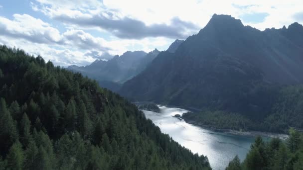 Aérea para a frente acima floresta pinheiros revelando montanha vale lago no dia ensolarado de verão.Europa Itália Alpes ao ar livre verde natureza paisagem montanhas selvagem estabelecimento.4k drone voo que estabelece tiro — Vídeo de Stock