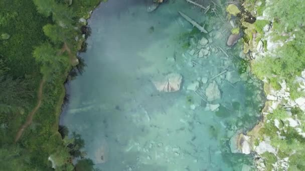 Aerial ogólnych powyżej niebieski zdradzające alpejskie jezioro w pobliżu lasu w słoneczne, letnie z chmury. Europie Alpy zieleni na zewnątrz góry prosto w dół establisher.4k drone nad widok z góry ustanawiającego strzał — Wideo stockowe
