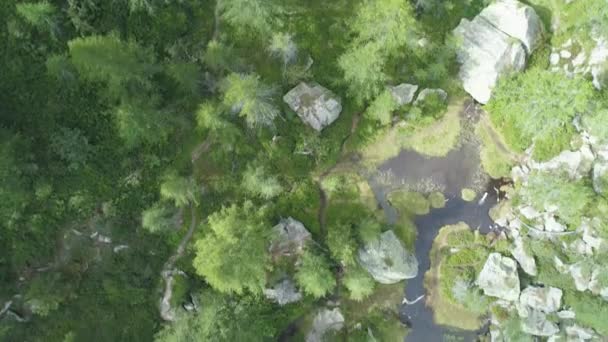 Aérea por encima del lago alpino azul claro cerca del bosque en verano soleado con nublas.Europa Alpes naturaleza verde al aire libre montañas recto abajo establishment. — Vídeo de stock