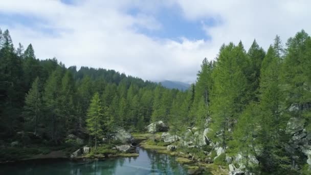 Hava bulutlu güneşli yaz aylarında dağ orman Vadisi açığa mavi dağ Gölü üzerinden geriye doğru. Avrupa Alpleri açık havada yeşil doğa scape dağlar yabani establisher.4k drone uçuş atış kurulması — Stok video