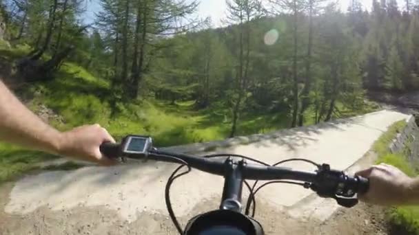 Pov 남자 전자-자전거를 타고입니다. Mtb 작업 사이클 선수 산 숲 숲 근처 트레일 경로 탐색 전기 자전거 활성 사람들 스포츠 summer.4k 비디오 야외에서 유럽 이탈리아 알프스에서 휴가 여행 — 비디오