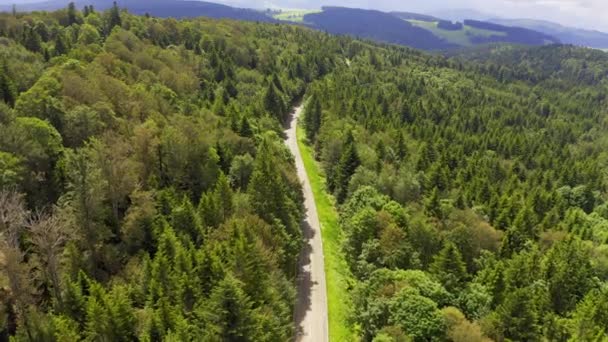 Vista aérea volando sobre el camino forestal de dos carriles con el coche moviendo árboles verdes de bosques que crecen a ambos lados. Coche conduciendo por la carretera forestal. aéreo: coche que conduce a través de bosque de pinos. Alemania bosque negro aéreo — Vídeos de Stock