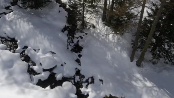 Aerial snowy forest creek in sunny day — Stock Video