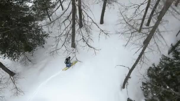 Вид с воздуха на альпиниста-альпиниста, идущего по заснеженному лесу. Зимний вид спорта на снегу в горах. . — стоковое видео