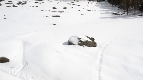 Floresta nevada aérea no dia ensolarado de inverno. Voar sobre a terra nevada no inverno — Vídeo de Stock