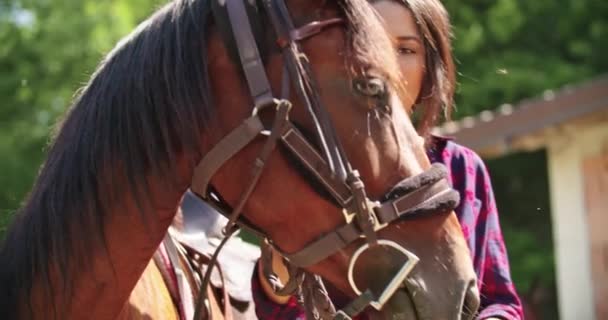 Hermosa mujer acariciando y acariciando un caballo marrón.Amigos viaje italiano en Umbría.4k cámara lenta — Vídeos de Stock