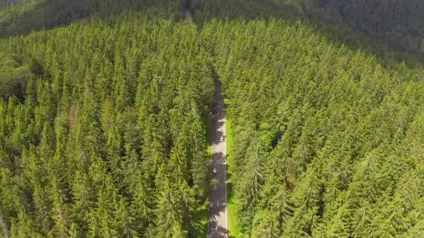 鸟瞰飞过两条车道的森林道路，汽车移动的绿树的树林生长两侧。汽车沿着森林公路行驶。空中：汽车驶过松树林。德国黑森林空中 — 图库视频影像