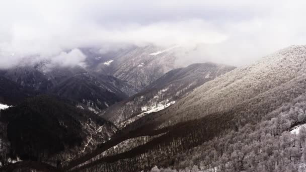 Foggy mountain forest aerial with ice frost covered trees in Winter drone flight establisher — 图库视频影像