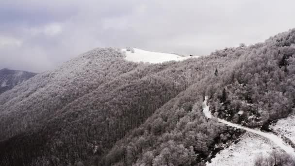 Foggy berg skog antenn med is frost täckta träd i vinter drönare flygning grundare — Stockvideo