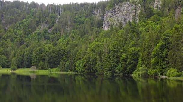 Levegő a tavon a zöld erdő és sziklás sziklák felé. Erdőtükröződés a vízben. Gyönyörű légi táj tó és erdő.Drone lövés egy gyönyörű hegyi erdő tava.Varázslatos hangulat — Stock videók