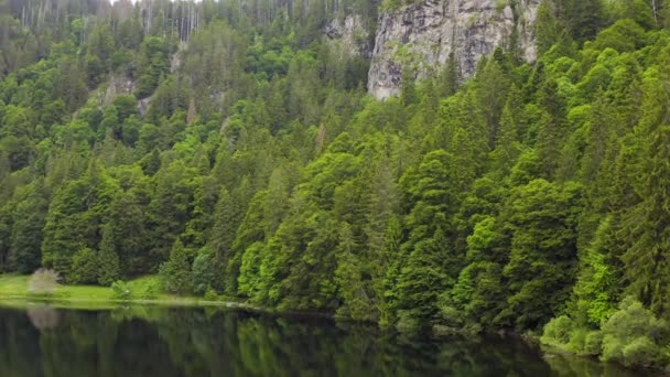 Aereo sul lago verso la foresta verde e scogliere rocciose. Riflessione della foresta nell'acqua. Bellissimo paesaggio aereo con lago e foresta.Drone girato sopra un bellissimo lago di foresta di montagna.Atmosfera magica — Video Stock