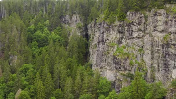 Aerial na jeziorze w kierunku zielonego lasu i skalistych klifów. Odbicie lasu w wodzie. Piękny krajobraz lotniczy z jeziorem i lasem.Drone strzał nad pięknym jeziorem górskim lasu.Magiczna atmosfera — Wideo stockowe